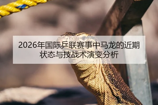 2026年国际乒联赛事中马龙的近期状态与技战术演变分析