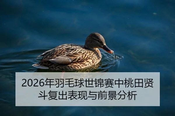 2026年羽毛球世锦赛中桃田贤斗复出表现与前景分析
