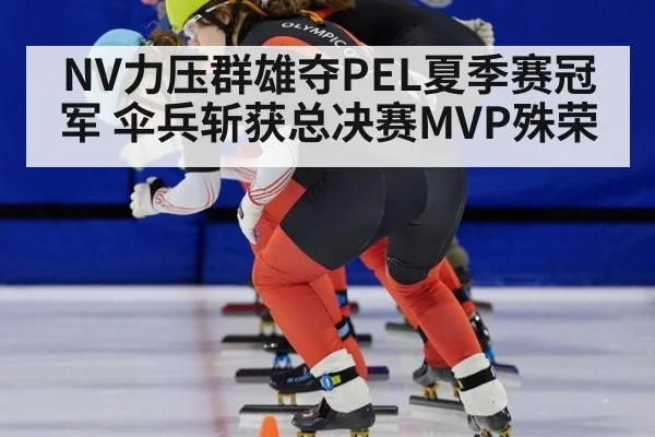 NV力压群雄夺PEL夏季赛冠军 伞兵斩获总决赛MVP殊荣